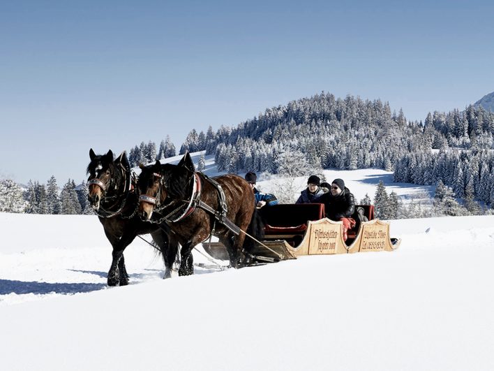 …AktivImWinter_Pferdeschlitten(c)_Adolf_Bereuter_Bregenzerwald_Tourismus.jpg Zwei braune Pferde ziehen einen offenen Holzschlitten mit Fahrgästen durch die verschneite Landschaft des Bregenzerwalds.