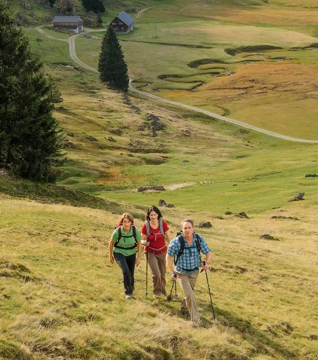 Drei Wandernde mit Rucksäcken und Stöcken steigen einen Wiesenhang hinauf, unten liegen zwei Almhütten.