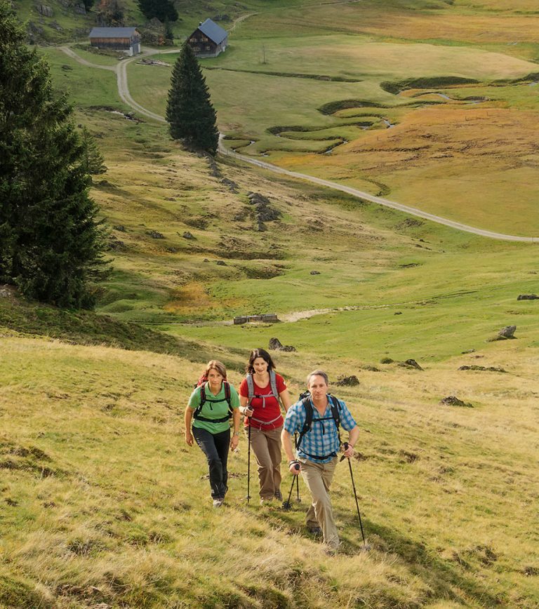Drei Wandernde mit Rucksäcken und Stöcken steigen einen Wiesenhang hinauf, unten liegen zwei Almhütten.