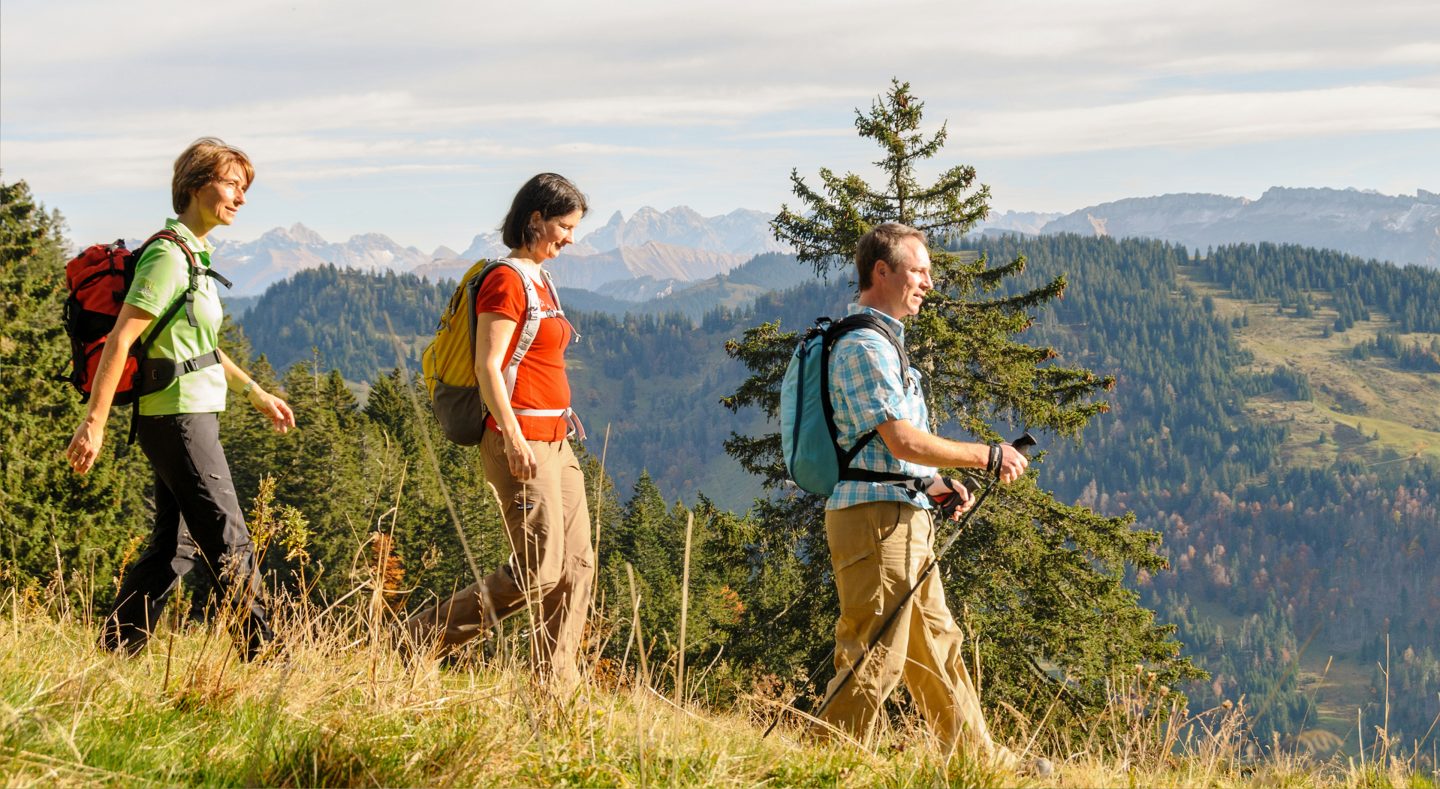 Drei Wanderer mit Rucksäcken unterwegs auf einem Grashang über bewaldeten Tälern, im Hintergrund die schroffen Gipfel der Alpen.