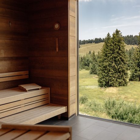 Leere Sauna mit hellen Holzbänken und dunkler Wandverkleidung, daneben Panoramafenster mit Blick auf Fichten.