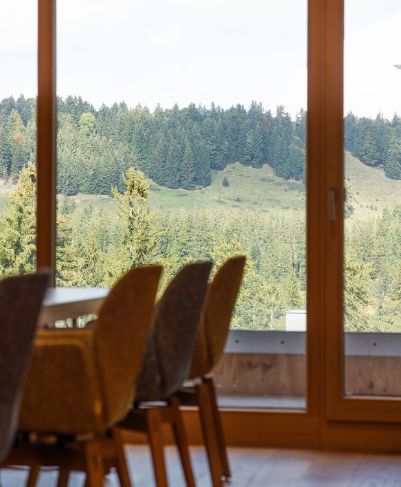 Blick aus dem Seminarraum durch hohe Holzfenster auf Nadelwald und Almwiese, im Vordergrund Stühle am Besprechungstisch.