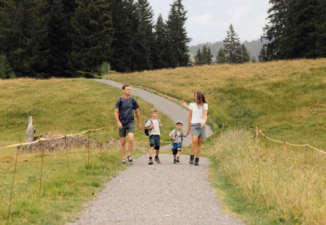 Familie mit zwei Kindern auf einem geschwungenen Wanderweg zwischen Almwiesen und hohen Fichten am Hochhäderich unter hellem Sommerhimmel.
